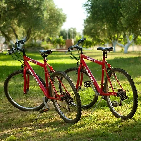 Haus Risos Next Generation 토로니