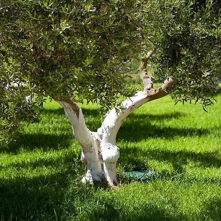 Haus Risos Next Generation 아파트 *