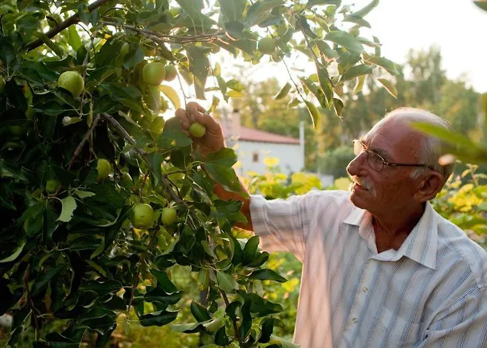 Haus Risos Next Generation *