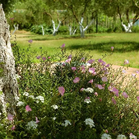 Haus Risos Next Generation *