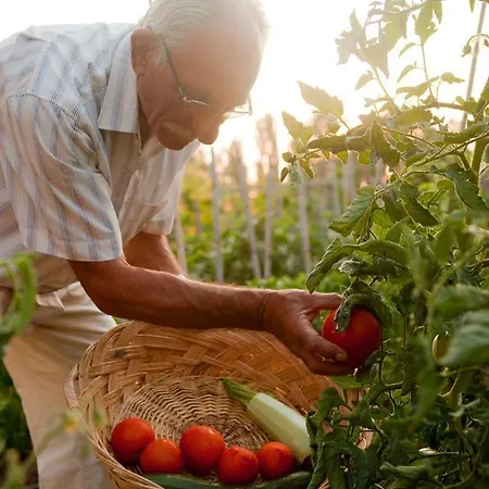 Apartman Haus Risos Next Generation