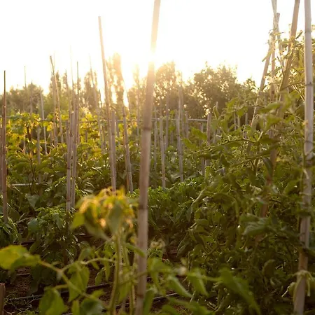 Haus Risos Next Generation Apartmán