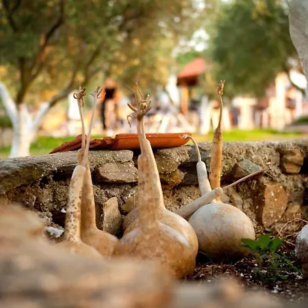 Haus Risos Next Generation