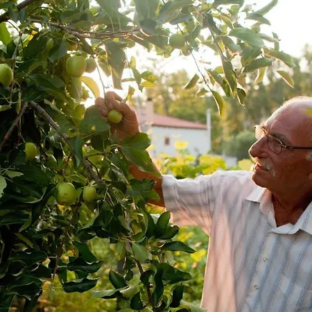 Haus Risos Next Generation *