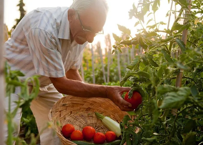 Apartman Haus Risos Next Generation